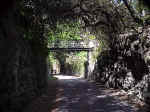 A popular shaded resting place near Somerset Village