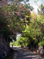 Approaching Hayden Chapel