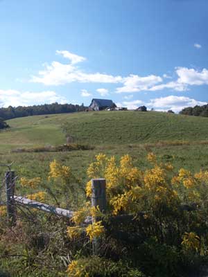 Country Scenery