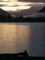 Soft colors of dawn, mirrored subtly across Lake Quinault. 