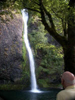 Daddy on his 85th birthday surveys the sweeping cascade of 208-foot-high Horsetail Falls in the cool mossy miniature canyon of Oneonta Gorge in the Columbia River Gorge.