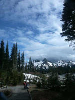 We traversed the 1.2 mile loop trail (200' elevation gain) over slippery snow to see Nisqually Glacier, one of Mount Rainier's most accessible glaciersyes, Joe & I fell (& fell).